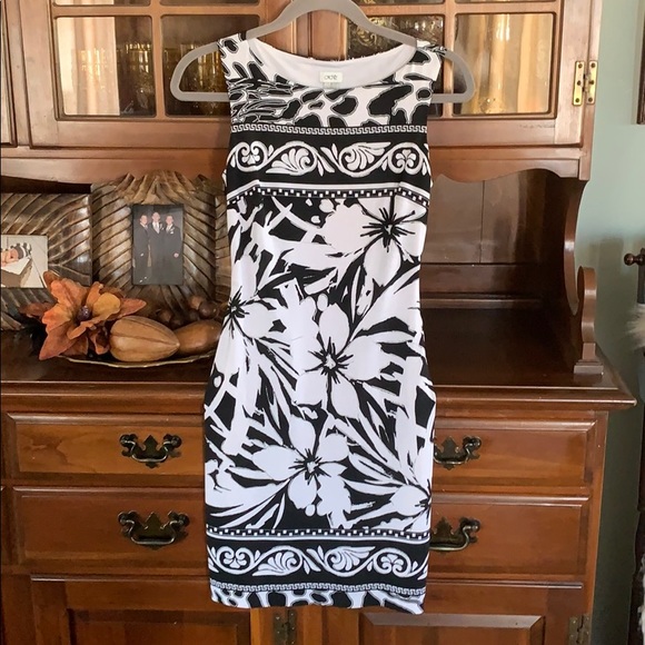 Cache Dresses & Skirts - Cashe Gorgeous Black and white dress 👗
